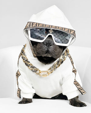Monogram dog hoodie inspired by Fendi