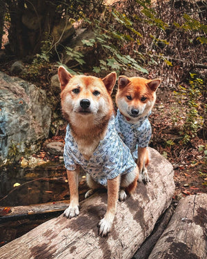 Jungle Rain dog jacket inspired by Louis Vuitton view 5