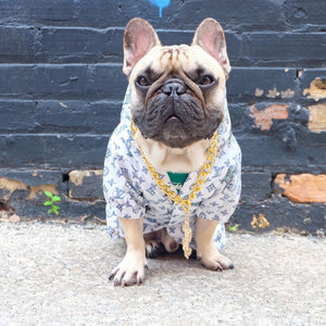 Jungle Rain dog jacket inspired by Louis Vuitton view 4