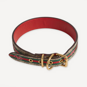 Serpent Canvas Leather Walking dog set inspired by Gucci