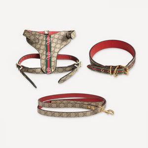 Serpent Canvas Leather Walking dog set inspired by Gucci view 2
