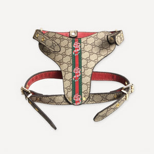 Serpent Canvas Leather Walking dog set inspired by Gucci view 3