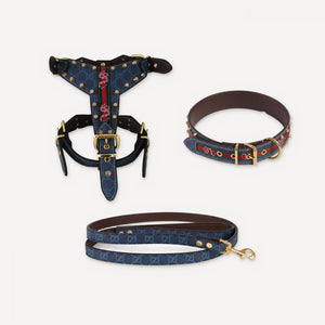 Studded Serpent Leather Walking dog set inspired by Gucci view 8