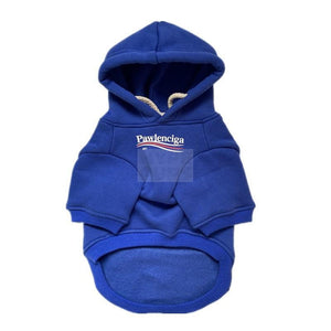 Blue Pawlenciaga logo dog hoodie with white text branding on chest