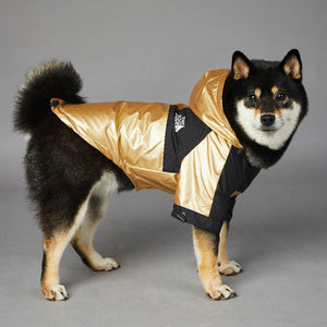 product-image-1829617207