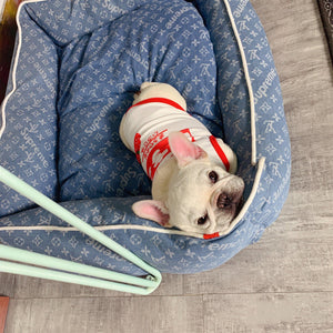 French Bulldog lying in blue designer dog bed with monogram print Supreme Louis Vuitton style