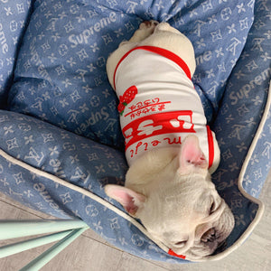 Close-up of blue canvas dog bed showing white monogram pattern and piping trim