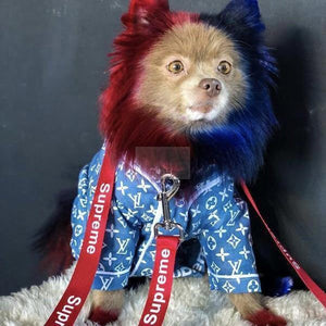 Close-up of blue monogram dog shirt Supreme LV collaboration with button front closure