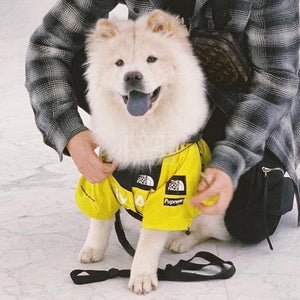 TDF By Any Treats Yellow Windbreaker Hype Pups designer dog clothes.