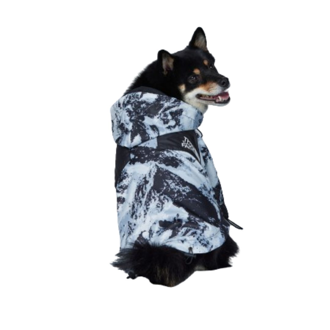 Black dog wearing TDF mountain print winter jacket with hood up