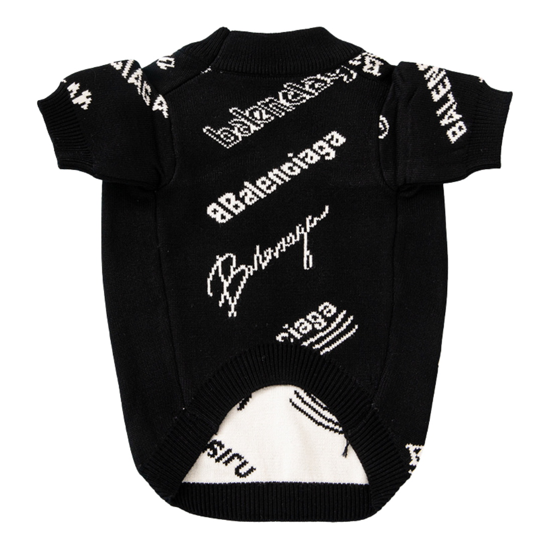 Back view of black typography sweater showing Pawlenciaga script lettering