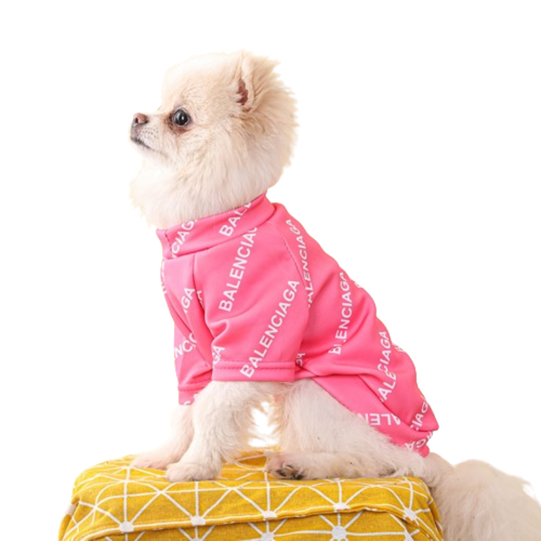 Small fluffy dog wearing pink Pawlenciaga all-over logo sweatshirt side view