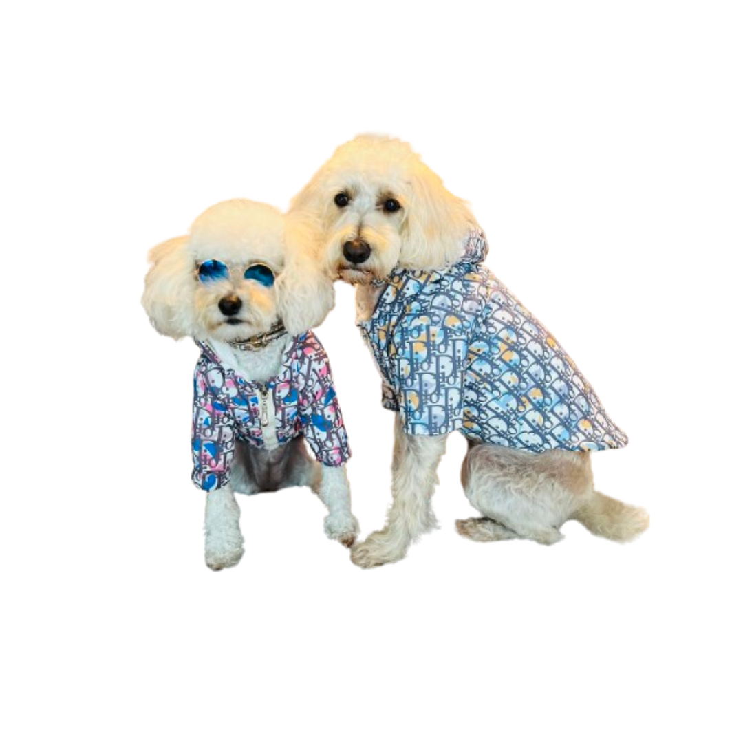 Two white poodles wearing Dogior oblique print hooded jackets in blue and pink