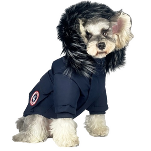 Navy Canada Goose style dog puffer jacket with black faux fur hood on small dog