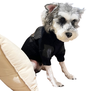 Black knit dog sweater Prada inspired with triangle logo worn by small terrier