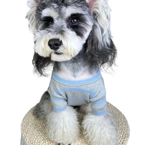 Gray and white dog wearing striped knit dog tee with Prada logo front view