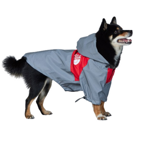 Side view of dog in TDF high-visibility windbreaker showing reflective strips