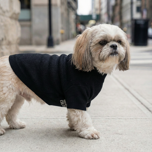 Pawsace Circle Logo Sweater