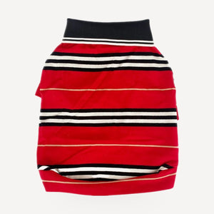 Stripe dog polo inspired by Burberry view 7