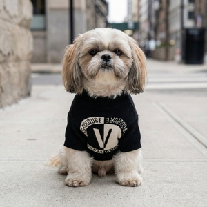 Pawsace Circle Logo Sweater