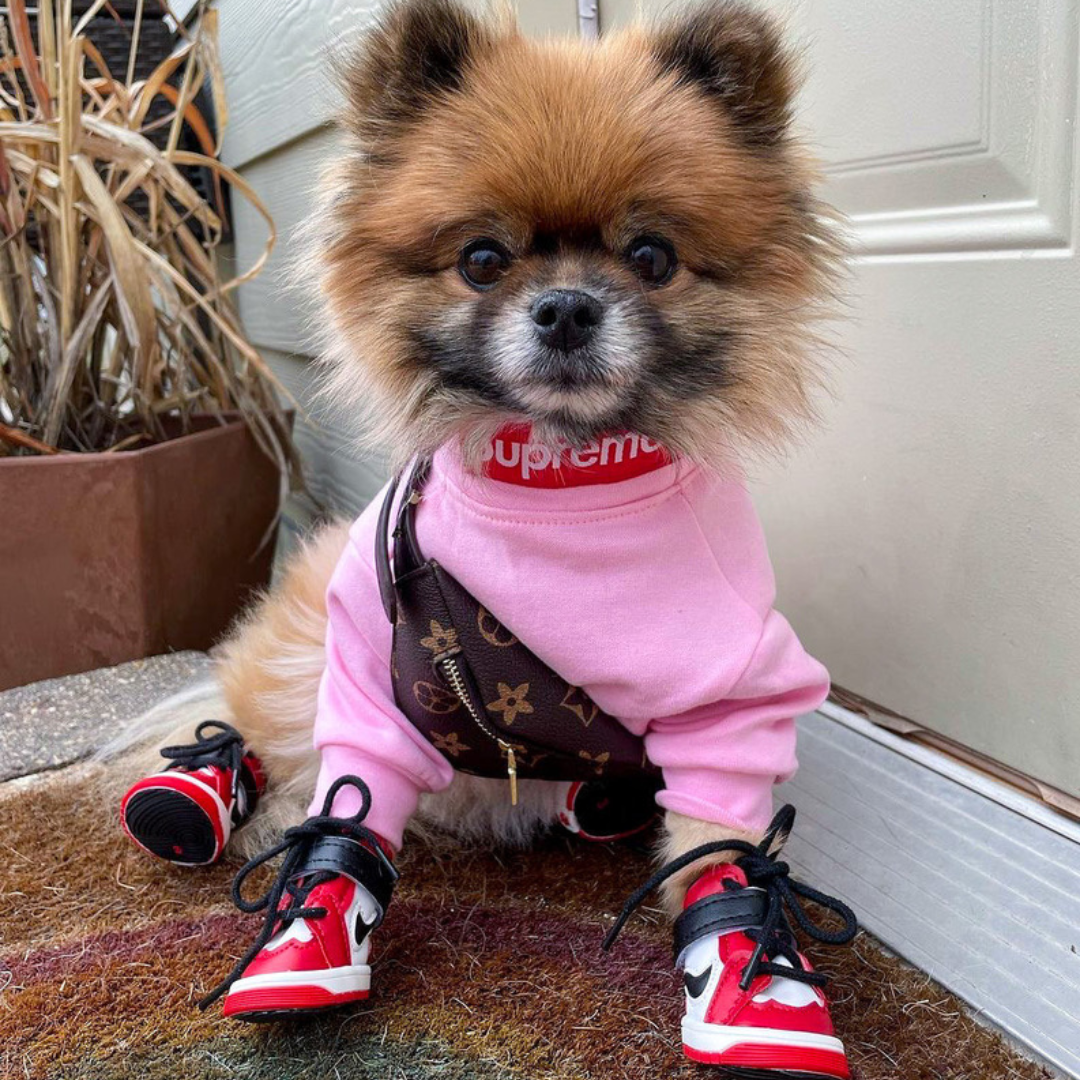 Air Bud Sneakers high-top basketball style dog shoes with swoosh logo and athletic design