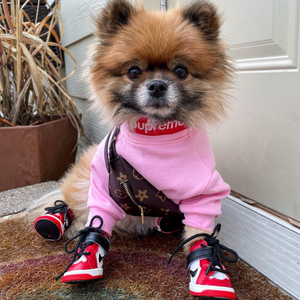 Air Bud Sneakers high-top basketball style dog shoes with swoosh logo and athletic design