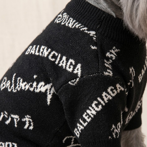 Pawlenciaga Typography Sweater
