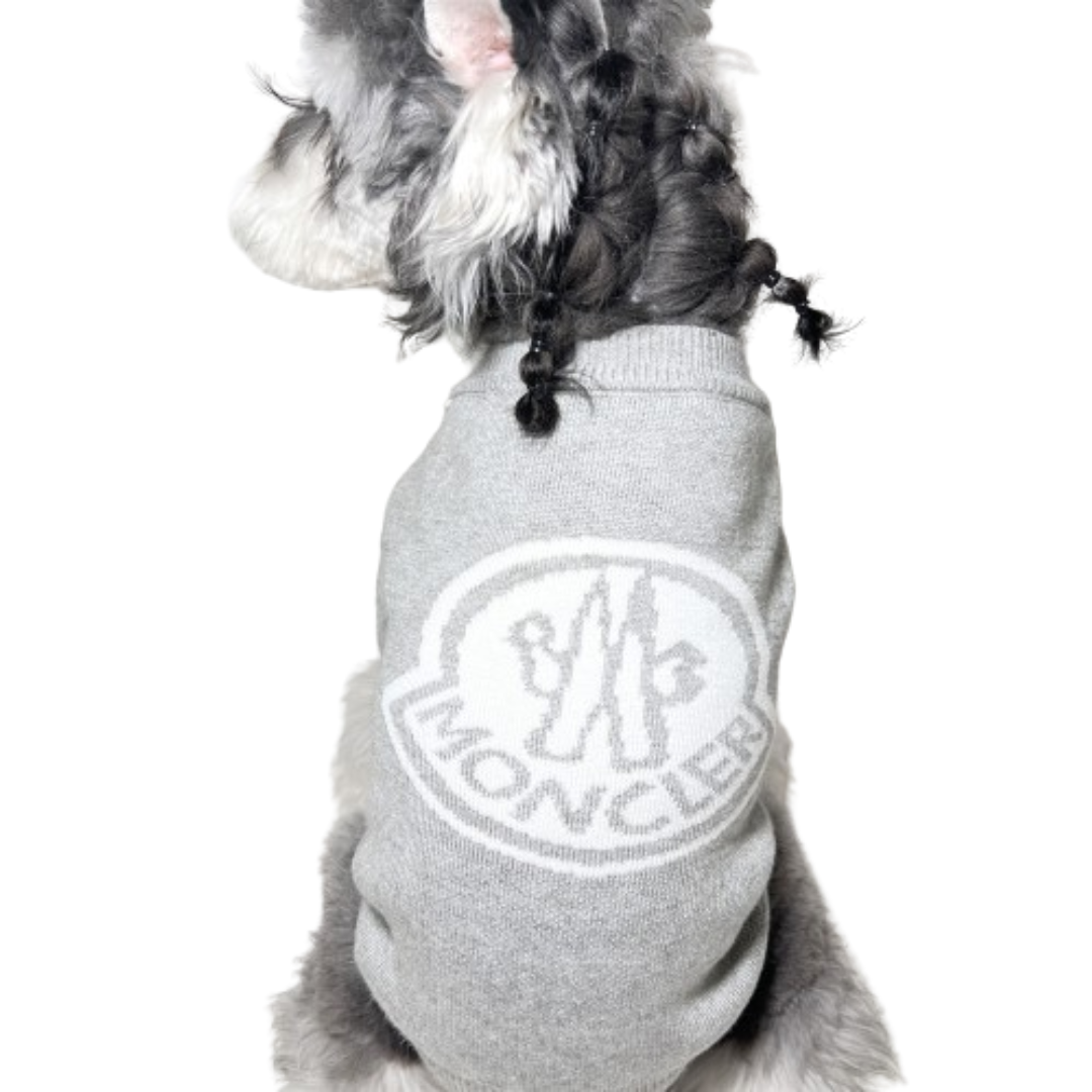 Small dog wearing gray Bonecler logo sweater showing fit and sizing