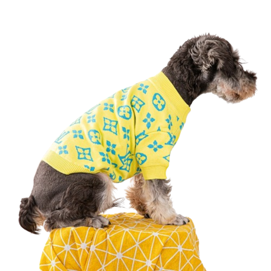 Small dog wearing yellow Louis Vuitton inspired sweater with blue monogram pattern
