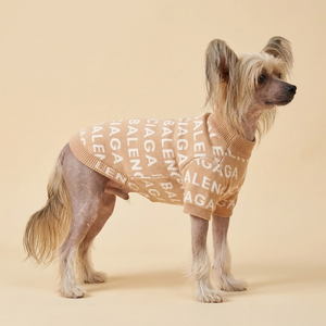 Pawlenciaga All Over Logo Sweater