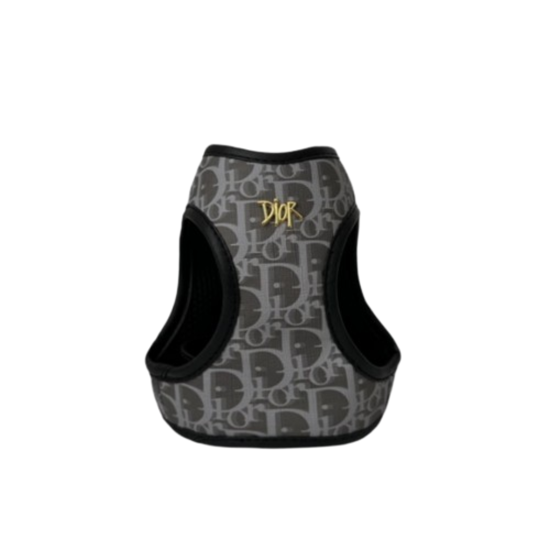 Designer Harness & Leash Set