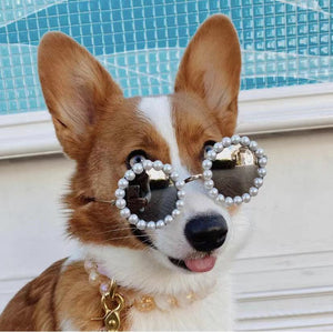 Corgi wearing pearl-detailed black sunglasses with tinted lenses by pool