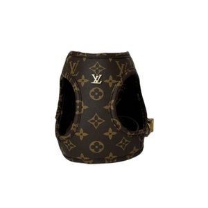 Designer Harness & Leash Set