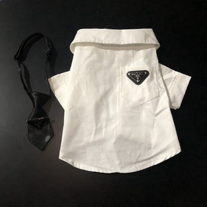 Formal white dog shirt with black triangle tie Prada inspired design
