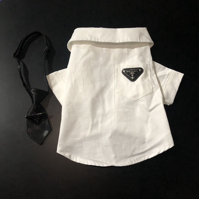 Formal white dog shirt with black triangle tie Prada inspired design