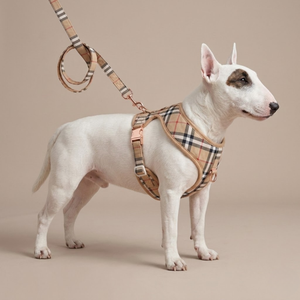 Furberry Plaid Harness Set
