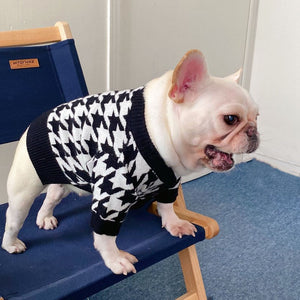 Close-up side view of French Bulldog in houndstooth knit sweater showing pattern detail and fit