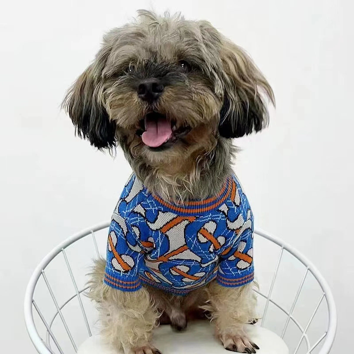Furberry Blue Monogram Sweater on a dog