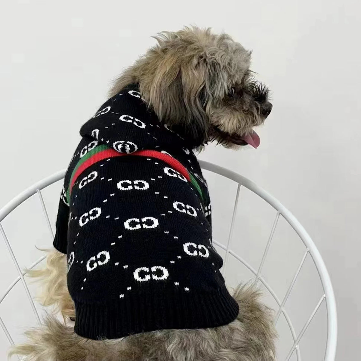 Pawcci Web Stripe Knit Hoodie on a dog
