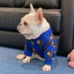 A Barking Pup Ape Head Sweater on a dog