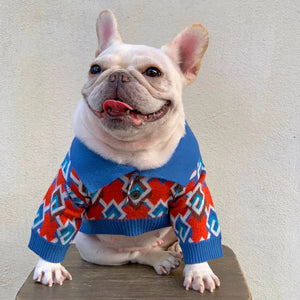 Pawcci Geometric Knit Polo on a dog
