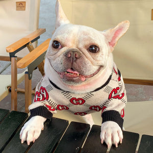 Pawcci Cream Monogram Sweater on a dog