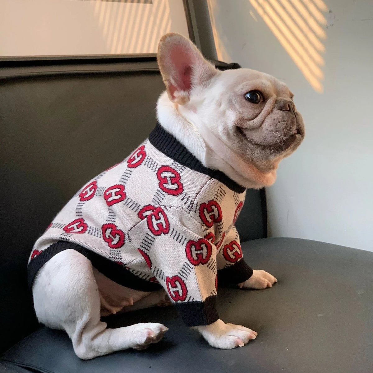 Pawcci Cream Monogram Sweater on a dog