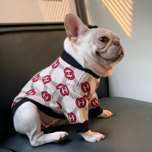 Pawcci Cream Monogram Sweater on a dog
