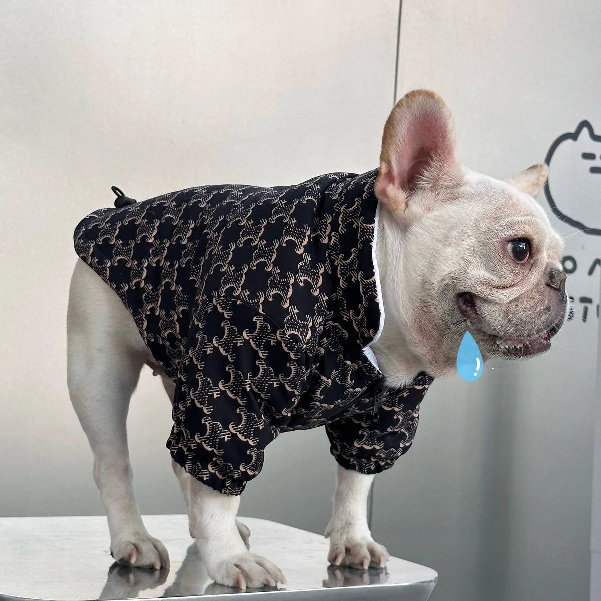 Chewline Triomphe Zip Jacket on a dog