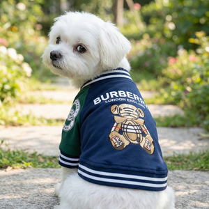 Furberry Teddy Bear Varsity Jacket