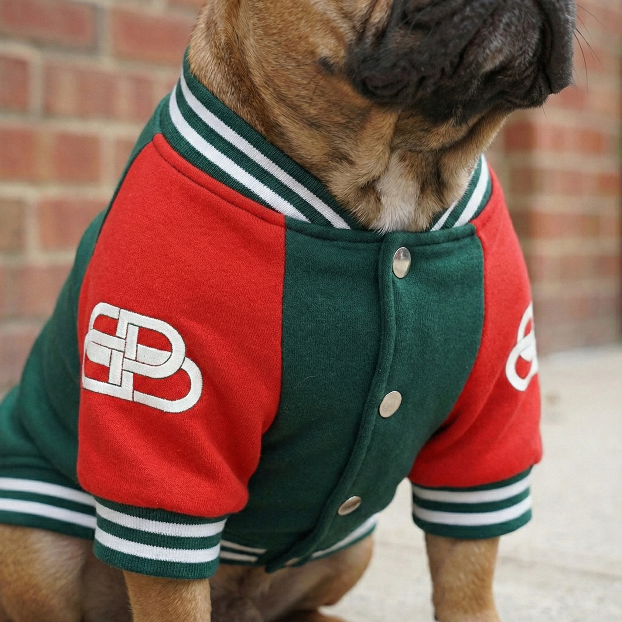Pawlenciaga Varsity Bomber Jacket