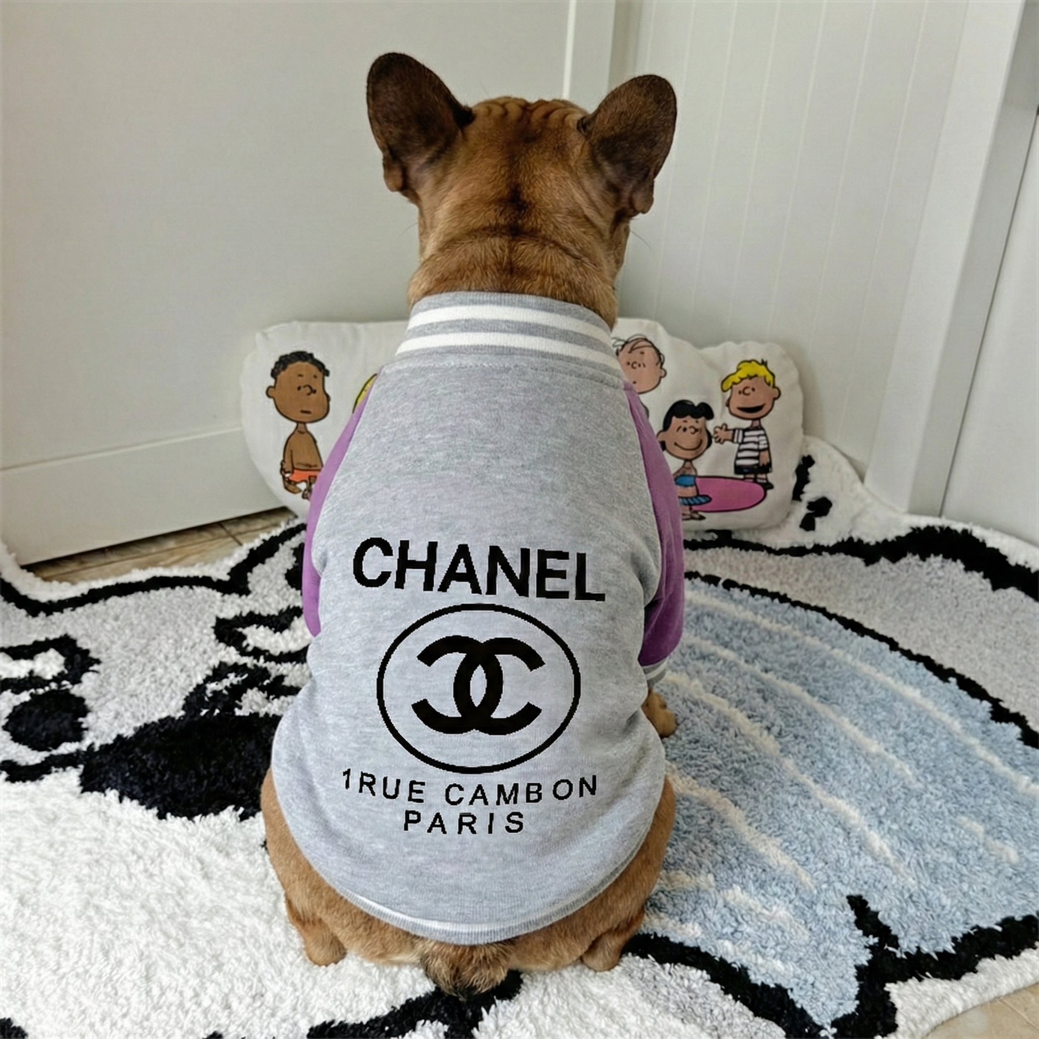 Chewnel Varsity Bomber Jacket