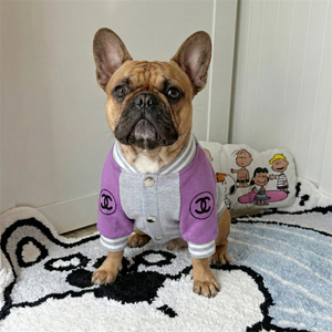 Chewnel Varsity Bomber Jacket