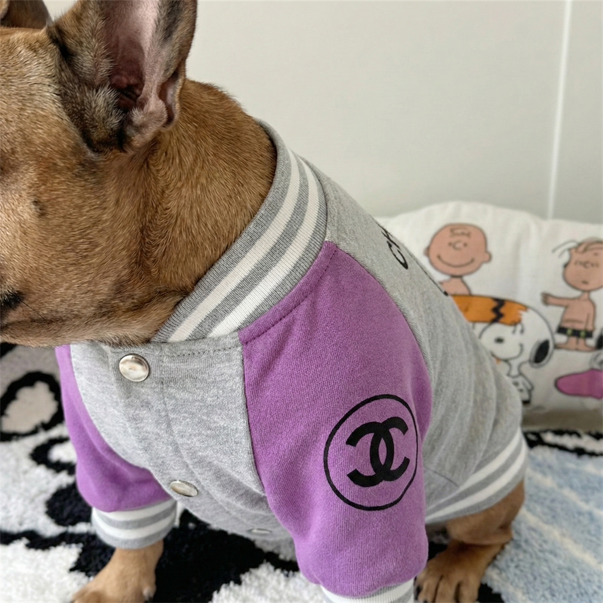 Chewnel Varsity Bomber Jacket